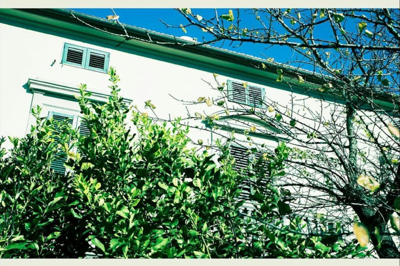 Affittacamere Porquier Crespina Exterior photo